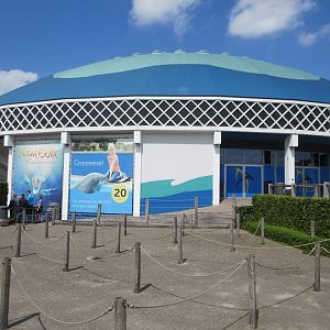Dolphin Dome (built in '69)