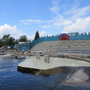 Pacific Walrus Exhibit - seating area