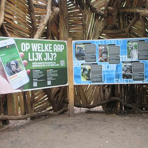 Promotion of the zoo's APP