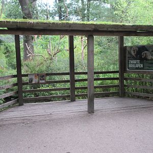Paraguayan Howler Monkey Exhibit - Viewing Area