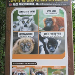 Walk-through Lemur Exhibit Sign
