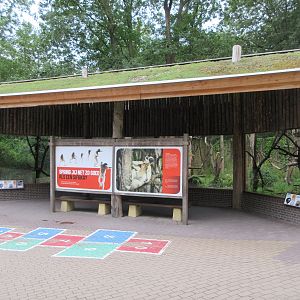 Crowned Sifaka Exhibit