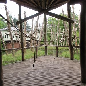 Bornean Orangutan Exhibit - viewing area