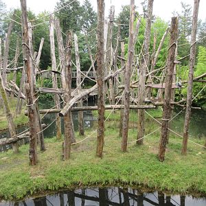 Bornean Orangutan Exhibit (one section)