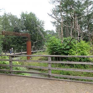 Lion-tailed Macaque Exhibit