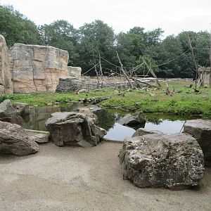 Barbary Macaque/Sahara Barbary Sheep Exhibit