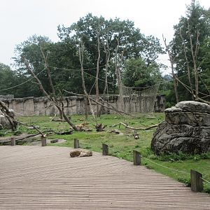 Barbary Macaque/Sahara Barbary Sheep Exhibit