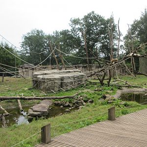 Barbary Macaque/Sahara Barbary Sheep Exhibit