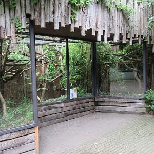 Silvery Marmoset Exhibit