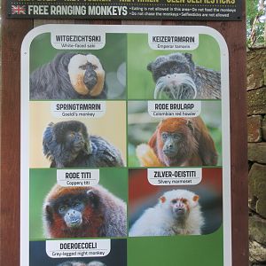 Walk-through 'Tree-top Walk' Sign