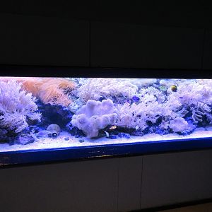 Example of fish tank