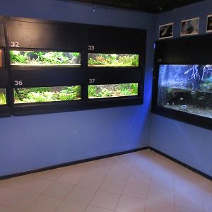 Example of fish tanks