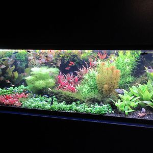 Example of fish tank