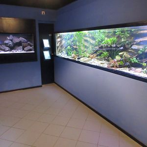Example of fish tanks