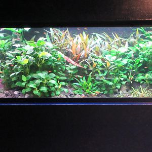 Example of fish tank