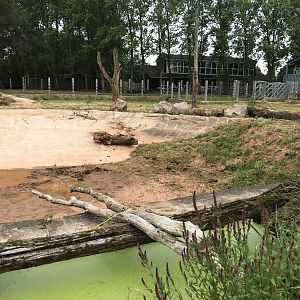 Rhino paddock right.