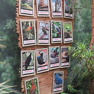 Bird Signage in Discovery Center