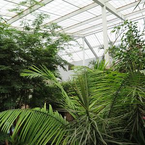 Discovery Center Indoor Jungle