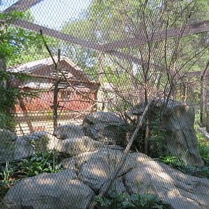 Australian Adventure Aviary