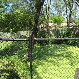 Australian Adventure: Cassowary Exhibit