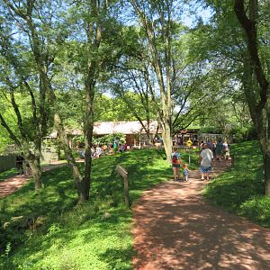 Australian Adventure