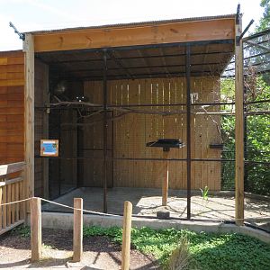 Australian Adventure Aviary