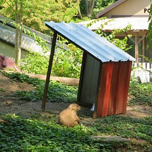 Little House on the Prairie