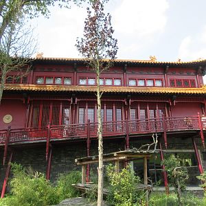 Pandasia - Giant Panda Complex