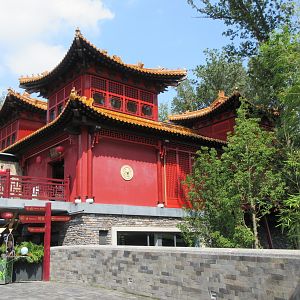 Pandasia - Giant Panda Complex