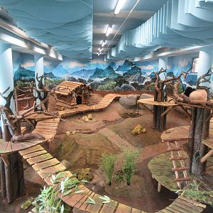 Pandasia - Giant Panda Complex