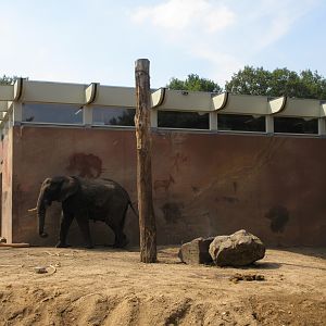 African Elephant Exhibit - Barn