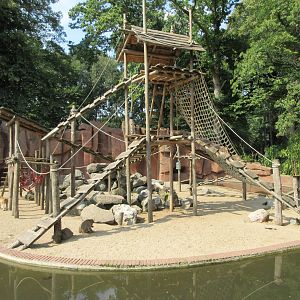 Barbary Macaque Exhibit
