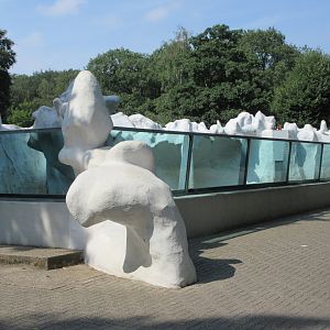 Empty Exhibit (old Polar Bear enclosure)