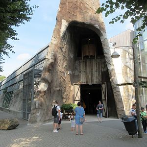 Gorilla Adventure - ugh!