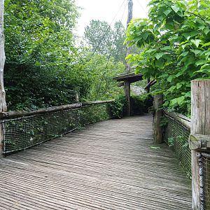 View in Puna aviary, 2019-07-21