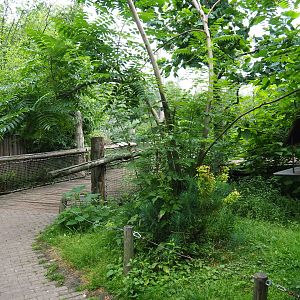 View in Puna aviary, 2019-07-21