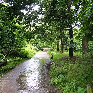 View in Puna aviary, 2019-07-21