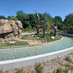 Aug. 2019 - Newly Renovated White-throated Capuchin Exhibit
