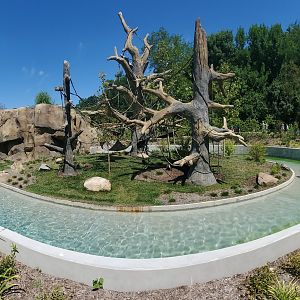 Aug. 2019 - Newly Renovated White-throated Capuchin Exhibit