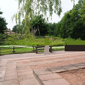 Gorilla island viewing and presentation area, 2019-07-21