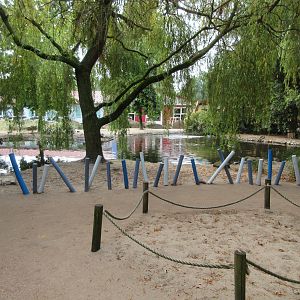 African Penguin Exhibit (walk-through)