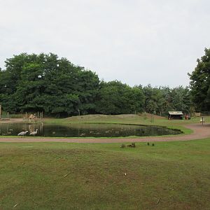 Outback (walk-through)