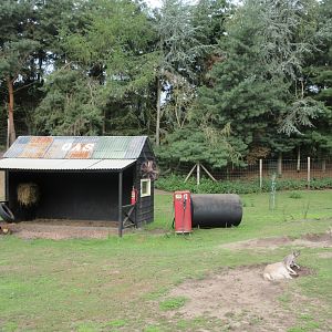 Outback (walk-through)