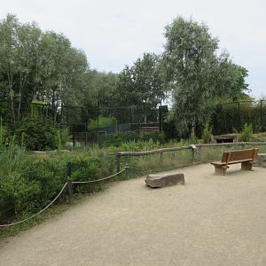 White Tiger Exhibit - viewing area