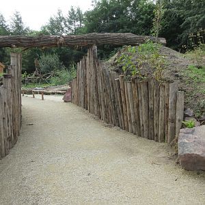 Madagascar Walk-through Exhibit