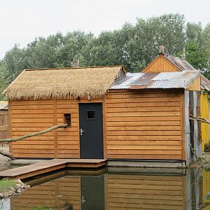 Madagascar Walk-through Exhibit