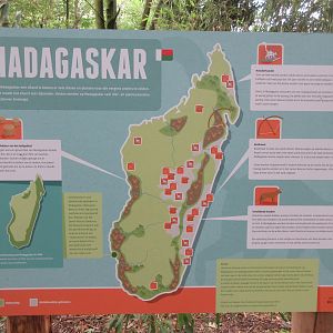 Madagascar Walk-through Exhibit