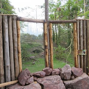 Fossa Exhibit (New in 2019)