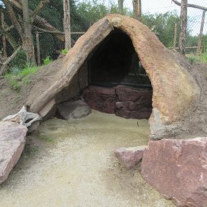 Fossa Exhibit (New in 2019)