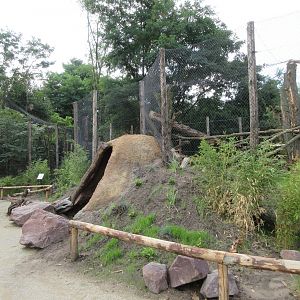 Fossa Exhibit (New in 2019)